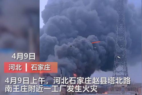 东营媒体爆料事件视频最新,真相背后引热议